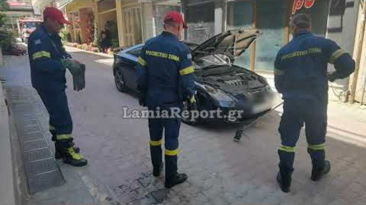 LamiaReport.gr: Φίδι τρύπωσε σε αυτοκίνητο στο κέντρο της Λαμίας