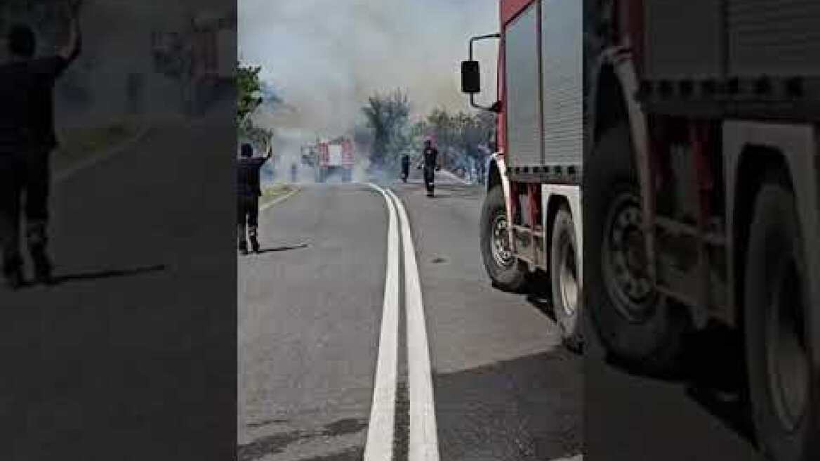 Φωτιά: Αναζοπυρώθηκε μέτωπο στο Πευκόδασος στο Κιλκίς