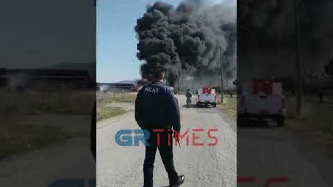 Μεγάλη πυρκαγιά στην περιοχή της Θέρμης