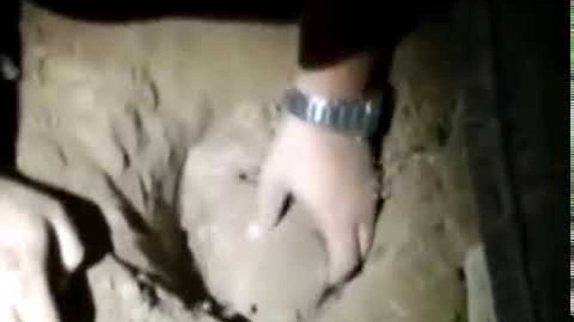 Newborn baby who was buried alive is pulled out in Brazil   Daily Mail