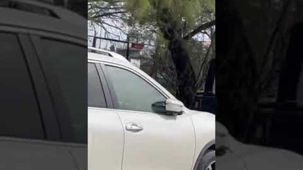 Αυτοκτονία Θερμαϊκός