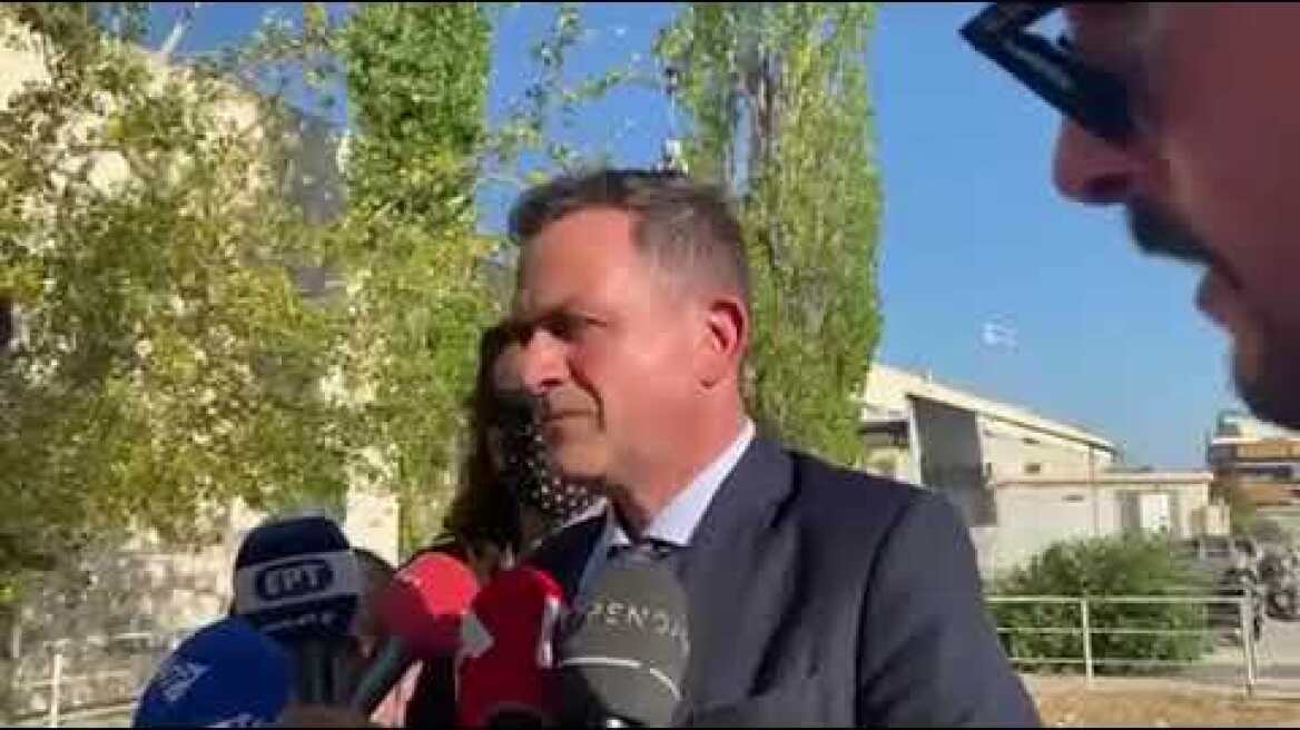 Δηλώσεις δικηγόρου κορυδαλλός