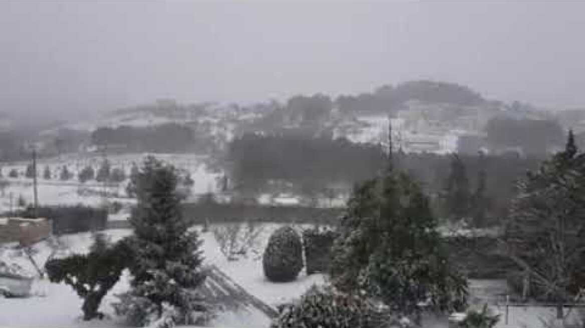 HALKIDIKINEWS - Πολυγύρος χιόνια 16-1-21