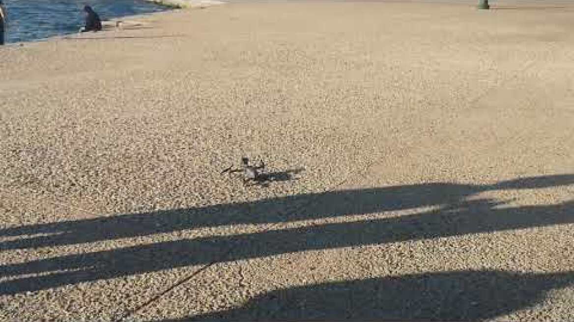 Drone πάνω από την παραλία ενημερώνει τον κόσμο να μείνει σπίτι