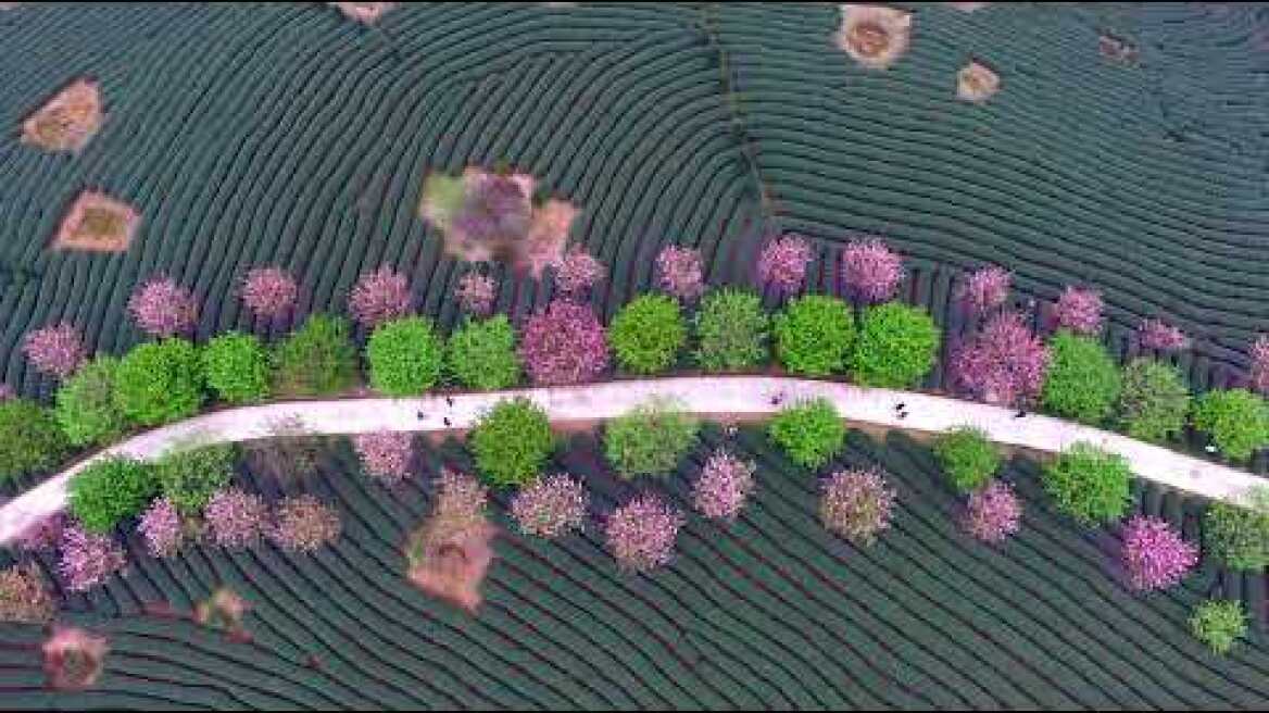 LIVE from Kiev amid Russia's military operation in Ukraine