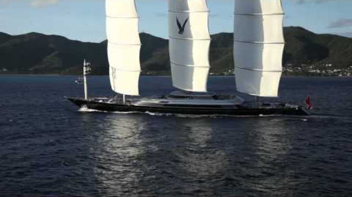 Maltese Falcon 2011