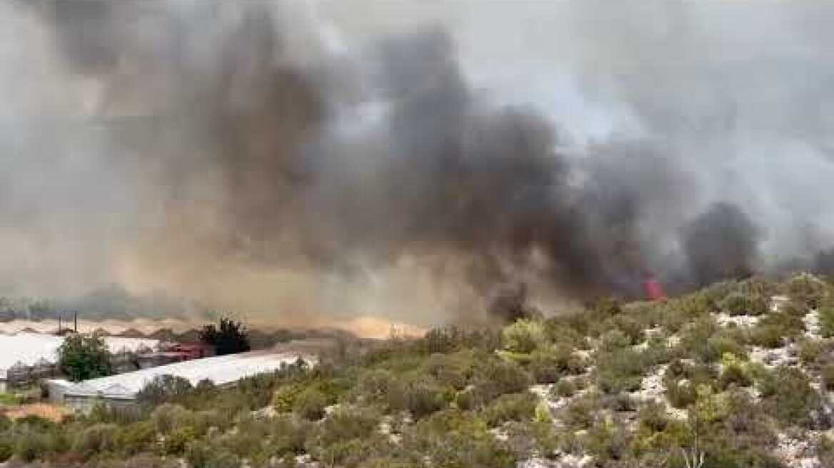 Καίγονται τα φυτώρια του Μαραθώνα