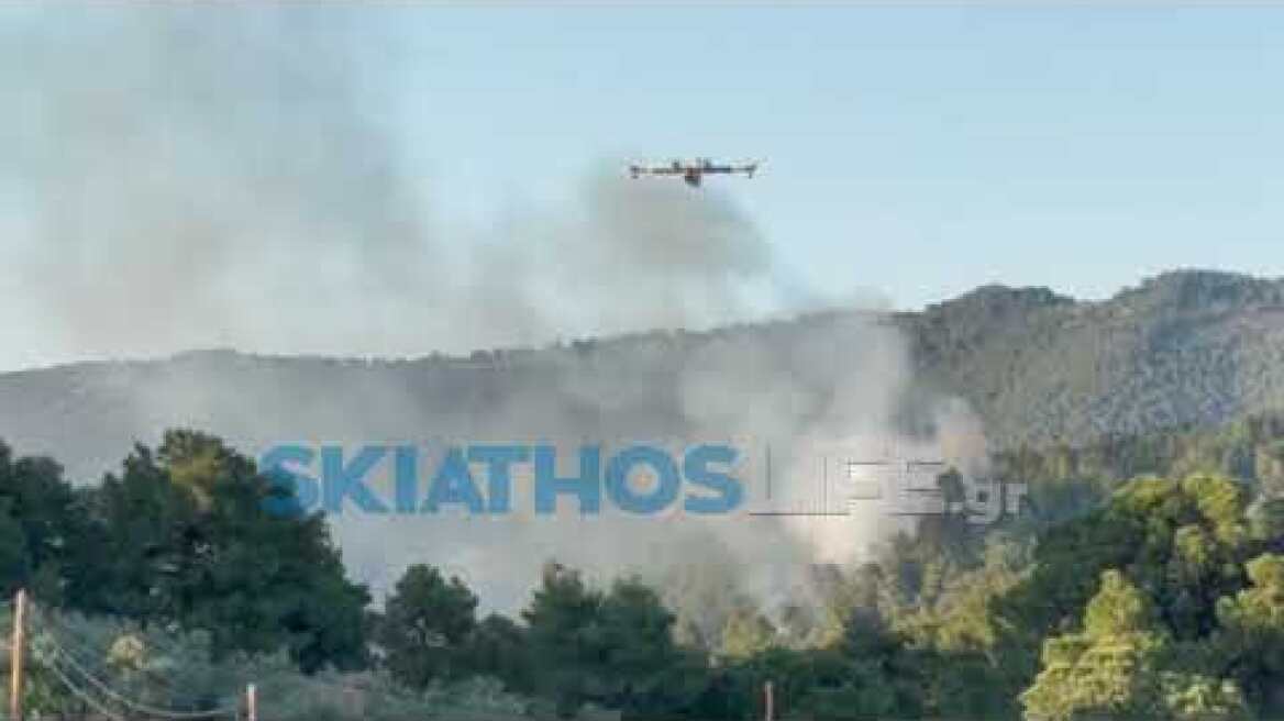ΣΕ ΠΛΗΡΗ ΕΞΕΛΙΞΗ Η ΦΩΤΙΑ (ΣΕ ΔΥΟ ΚΟΝΤΙΝΑ ΜΕΤΩΠΑ) ΣΤΗ ΣΚΙΑΘΟ
