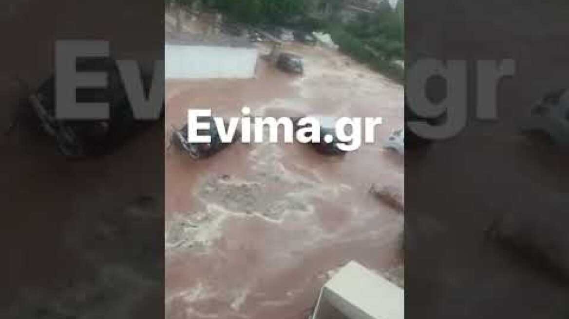 Κακοκαιρία Daniel - Εύβοια: Τεράστιες καταστροφές στην παραλία Αλμυροποτάμου