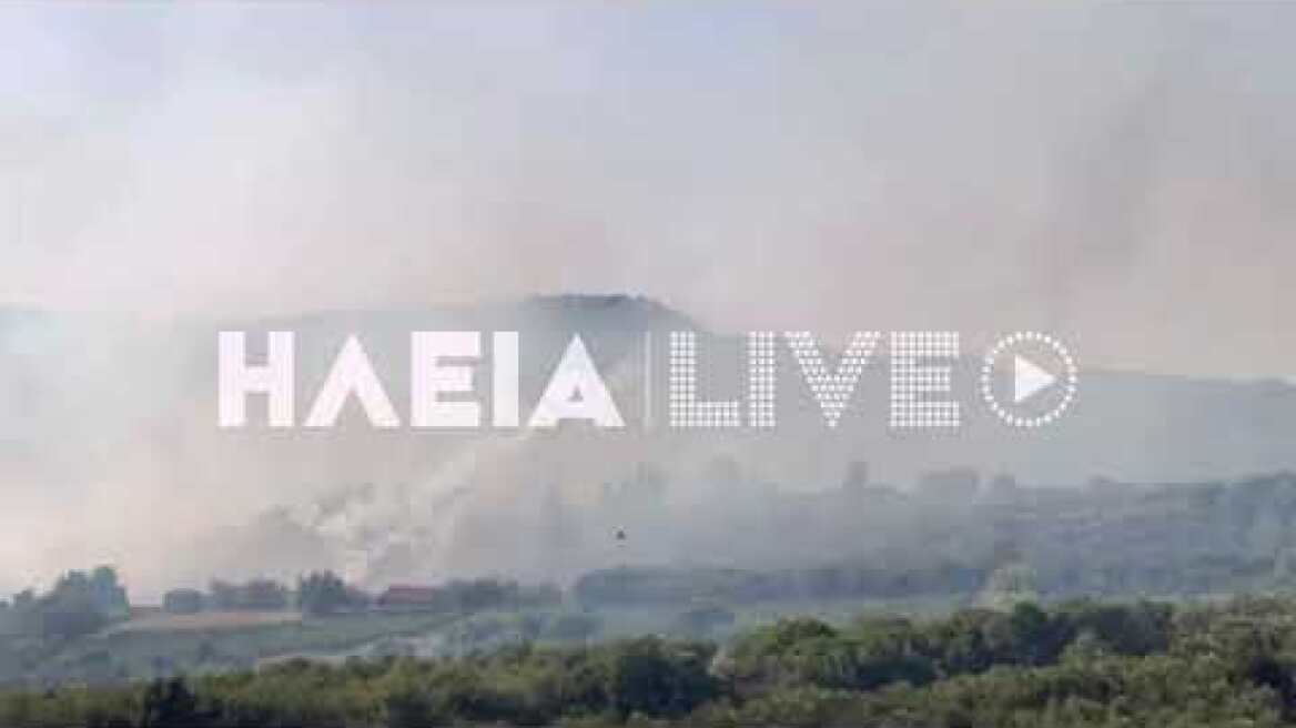 ilialive.gr - Μεγάλη αναζωπύρωση στην Κορυφη