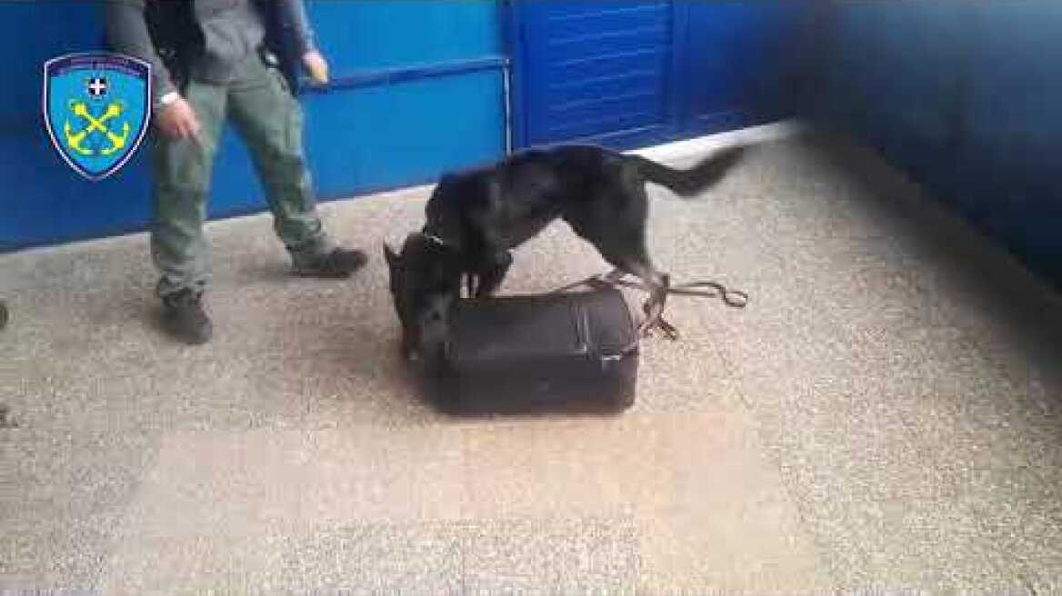 Εντοπισμός και κατασχέσεις ναρκωτικών ουσιών και συλλήψεις στη Μυτιλήνη την 12-03-2019