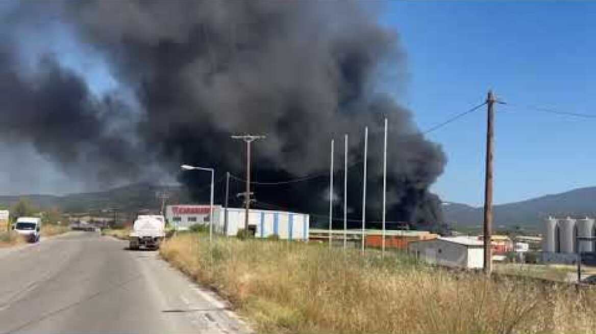Μεγάλη φωτιά σε εργοστάσιο με πλαστικά στη Ριτσώνα (1)