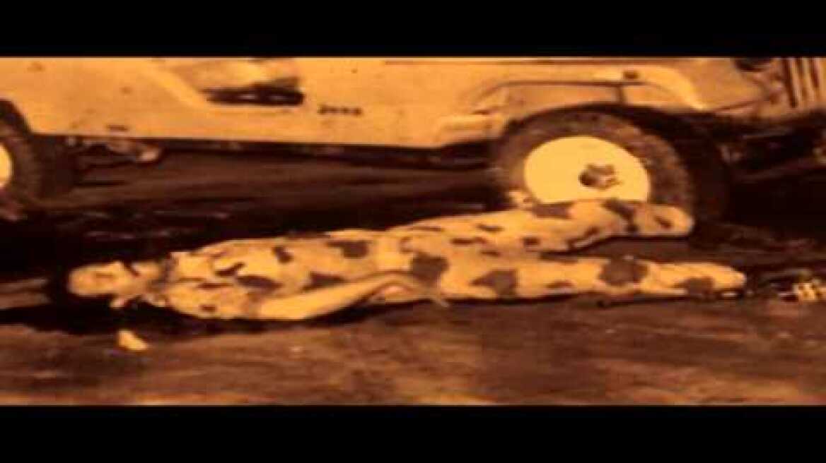 assassination of youssef al sebai