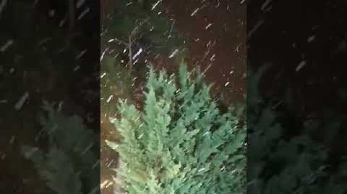 kozan.gr: Το πρώτο χιονι έπεσε στην πτολεμαιδα