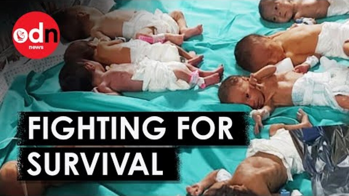 Gaza Hospital ‘No Longer Functioning’ Amid Premature Baby Deaths