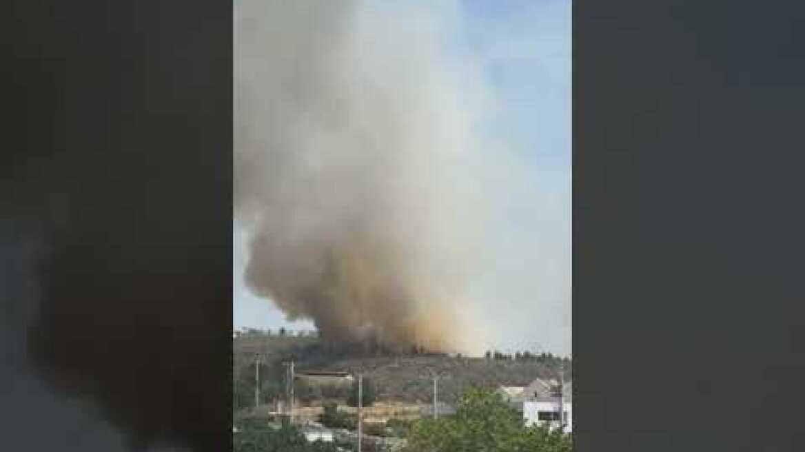 Φωτιά στο Κρυονέρι (2)