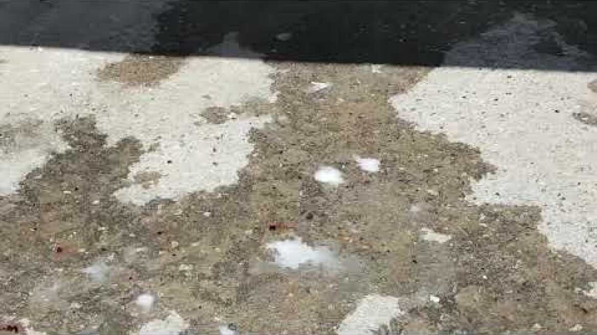 Thestival.gr φονικό Κρύα Βρύση