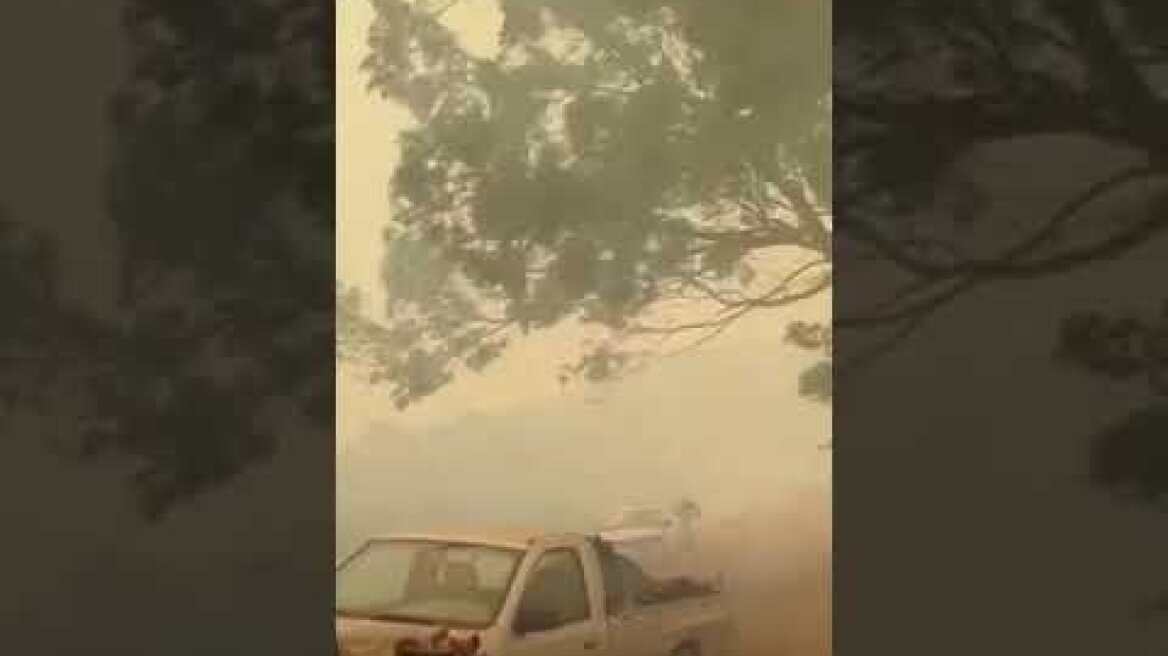 Γύθειο φωτιά (1)