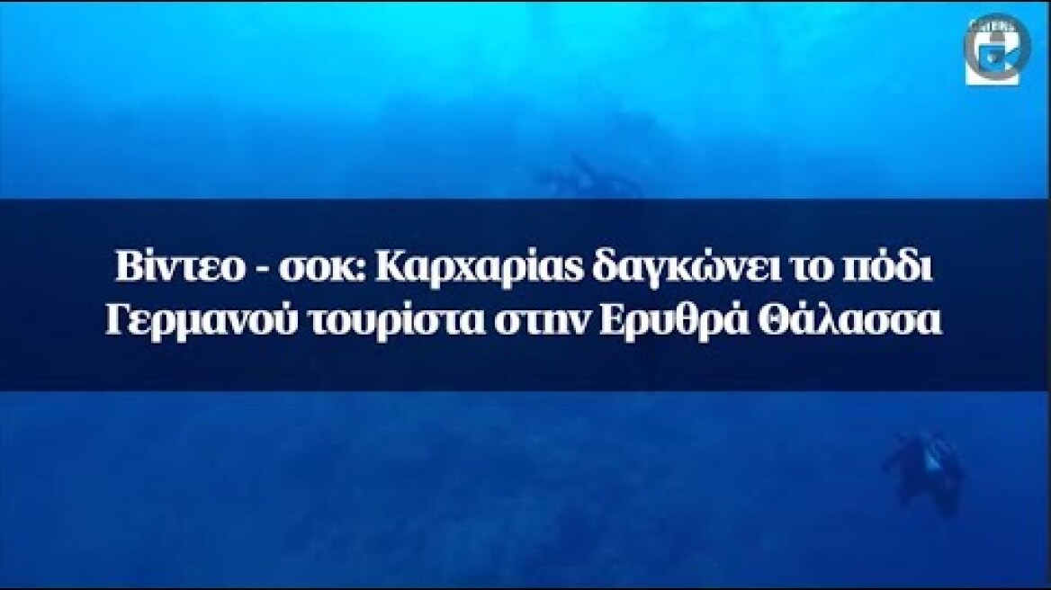 Βίντεο - σοκ: Καρχαρίας δαγκώνει το πόδι Γερμανού τουρίστα στην Ερυθρά Θάλασσα
