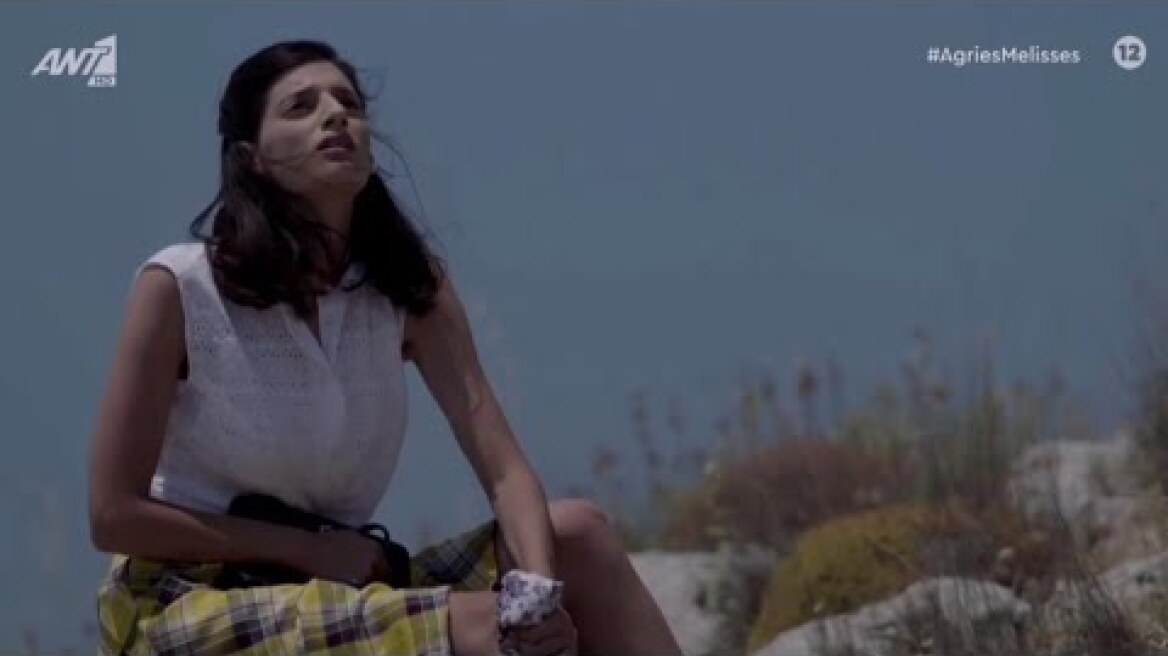 Άγριες Μέλισσες σοκ , τέλος