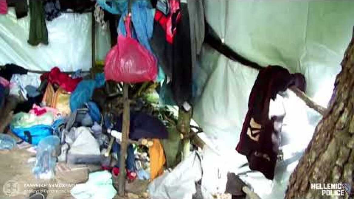 Δηλώσεις σχετικά με διακρίβωση της δράσης εγκληματικής ομάδας που καλλιεργούσε δενδρύλλια κάνναβης