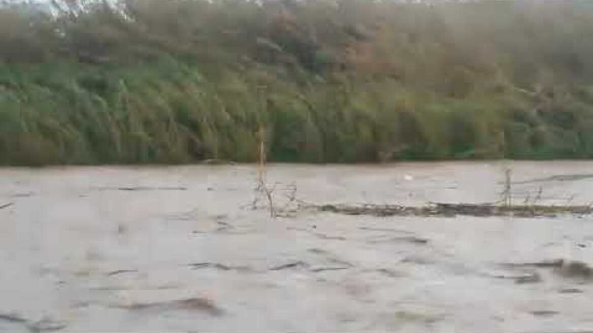 Κλαδισός εν μέσω κακοκαιρίας 24/2