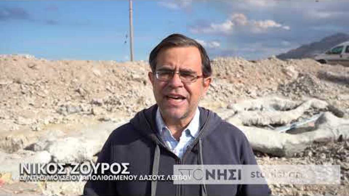 Ο Νίκος Ζούρος για το νέο απολιθωμένο εύρημα