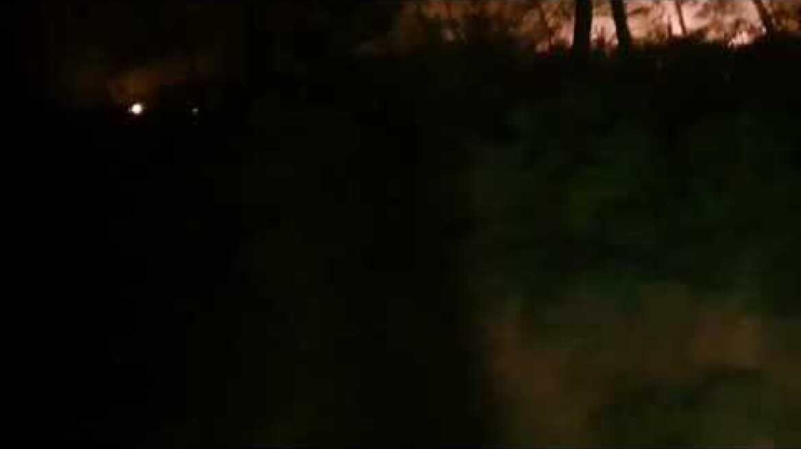 Φωτιά δάσος Δαδιάς