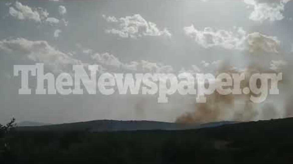 Φωτιά στις Γλαφυρές Βόλου