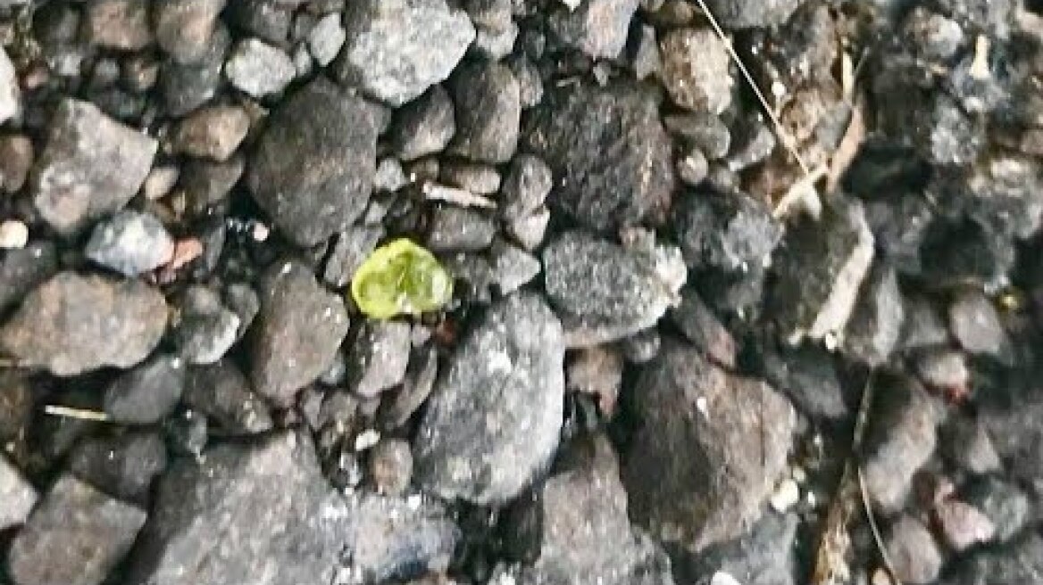 Hawaii's Kilauea volcano starts raining green gems