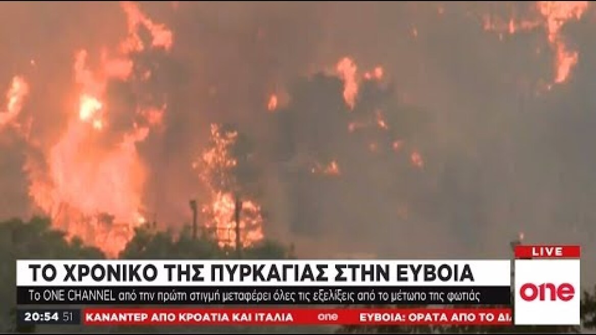 Η Εύβοια στις φλόγες: Το χρονικό της εφιαλτικής πυρκαγιάς