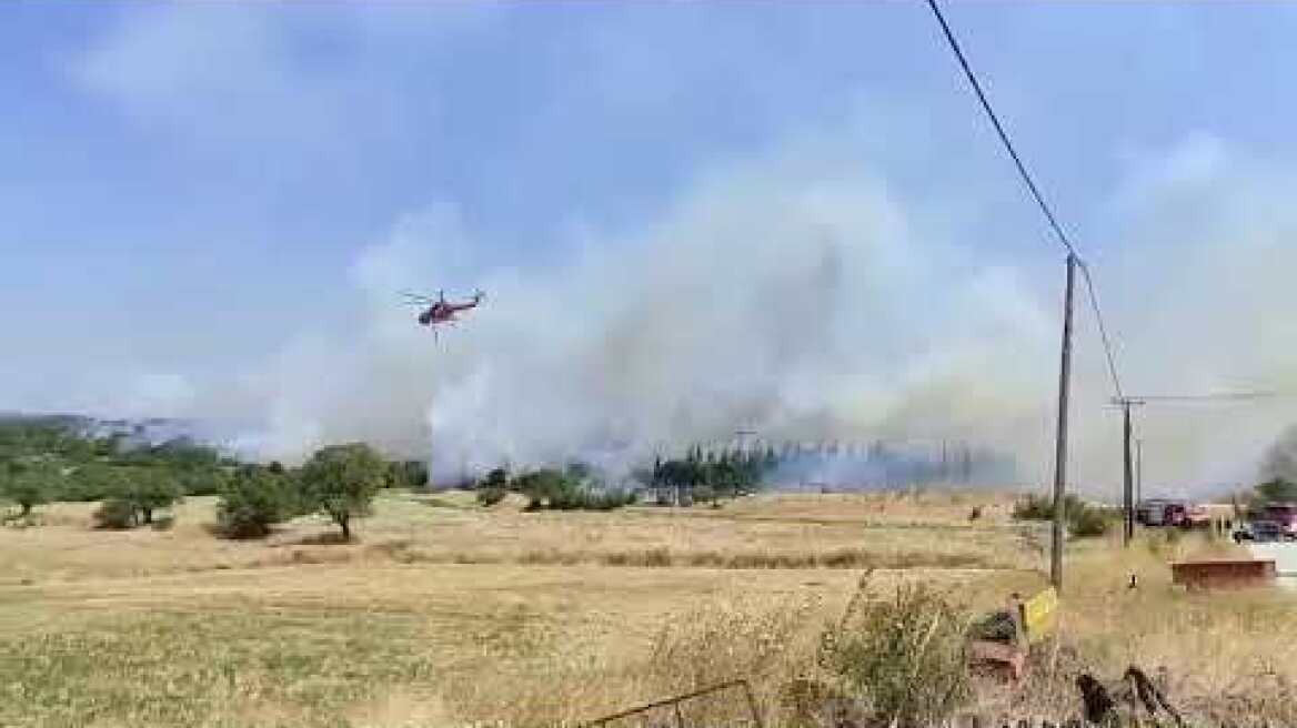 Πυρκαγιά στην Αλεξανδρούπολη 3