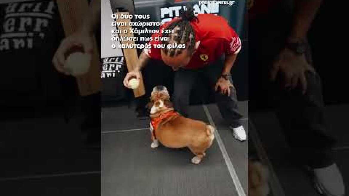 Ο σκύλος του Λιούις Χάμιλτον βρίσκεται σε κώμα - Το μήνυμα του επτάκις παγκόσμιου πρωταθλητή...