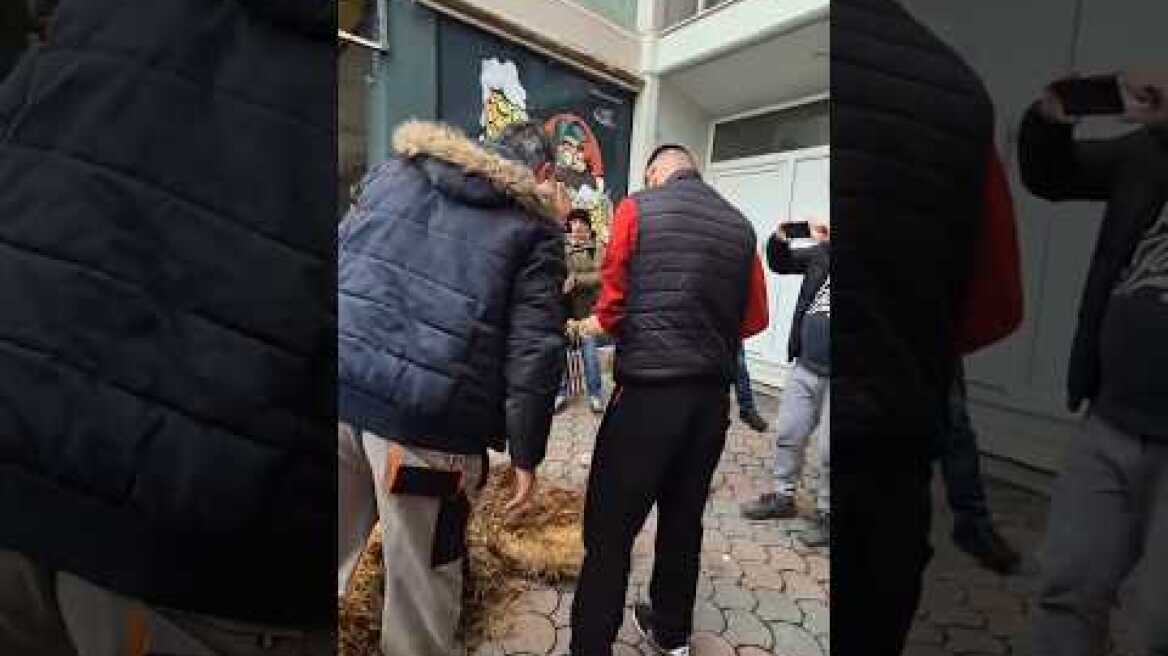 Αγρότες έριξαν σανό έξω απο βουλευτικά γραφεία στα Τρίκαλα