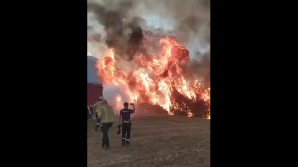 Catalonia - BURNING. Spain on Fire. 16.06.2022 #IFBaldomar #IFCorbera #IFCorberaEbre