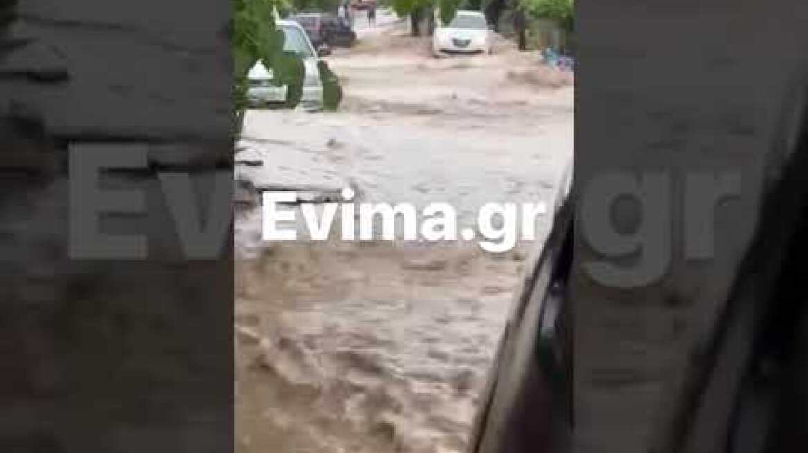 Κακοκαιρία Daniel στην Εύβοια: Πλημμύρισαν οι Ροβιές