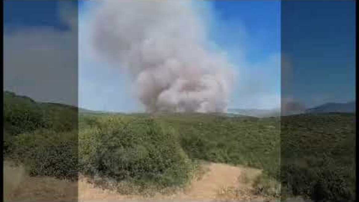 Πυρκαγιά νοτιοανατολικά της Σκοπιάς Φαρσάλων