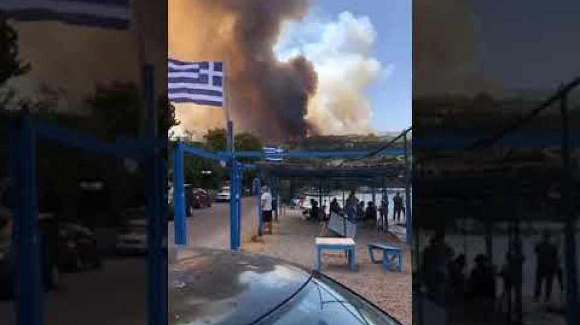 ΦΩΤΙΑ ΣΤΗ ΖΗΡΙΑ