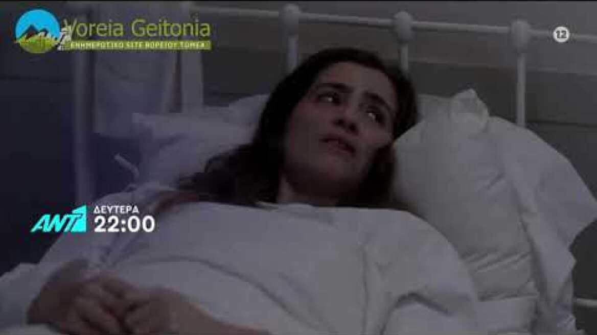 Άγριες Μέλισσες 23- 11- 2020