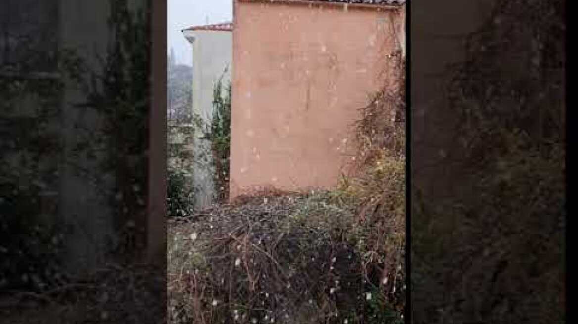 getfvid 10000000 593367904574096 5336253786825005700 n