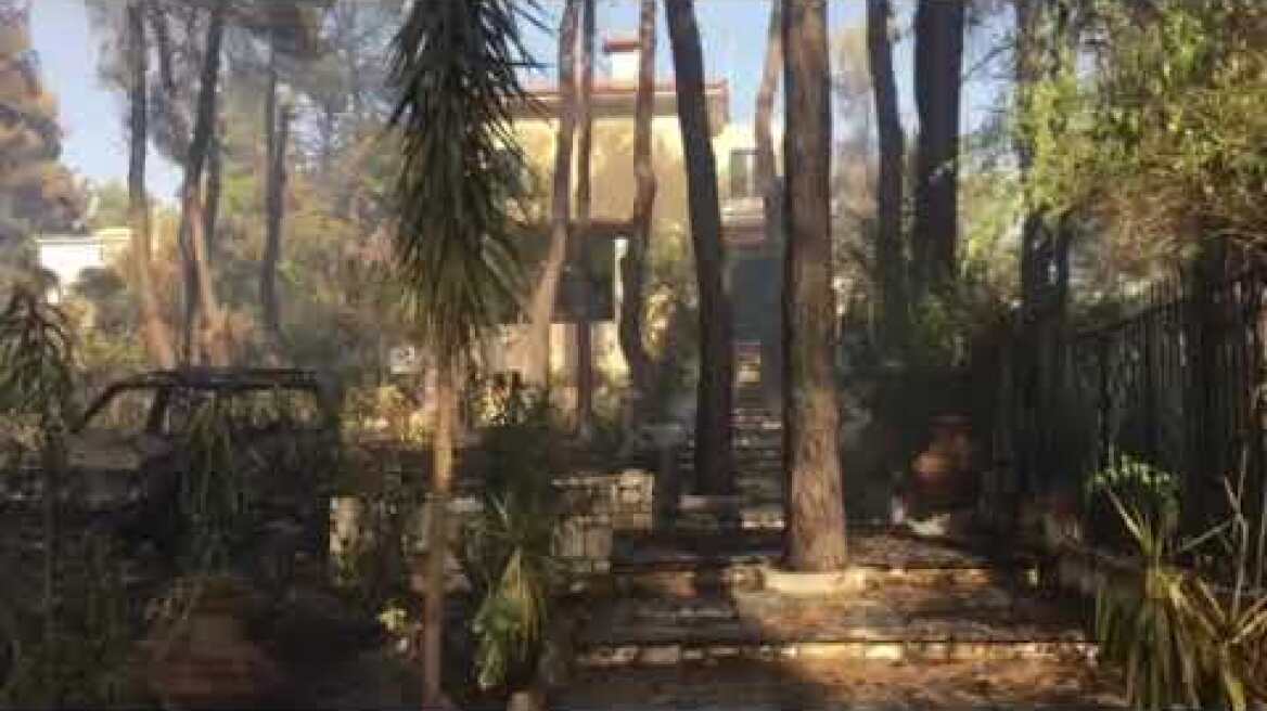 Καμένα Σταμάτα