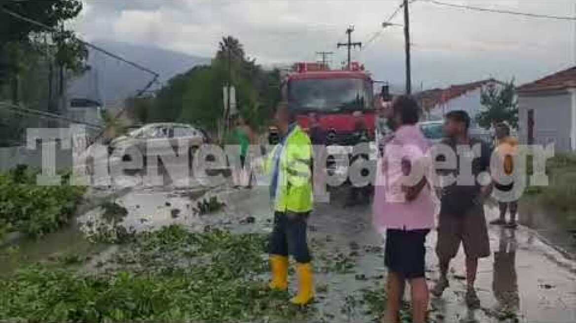 Κατέρρευσαν δέντρα και αυλόγυρος σε σχολείο του Βόλου