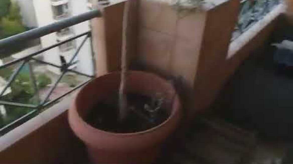 received 342109843416498