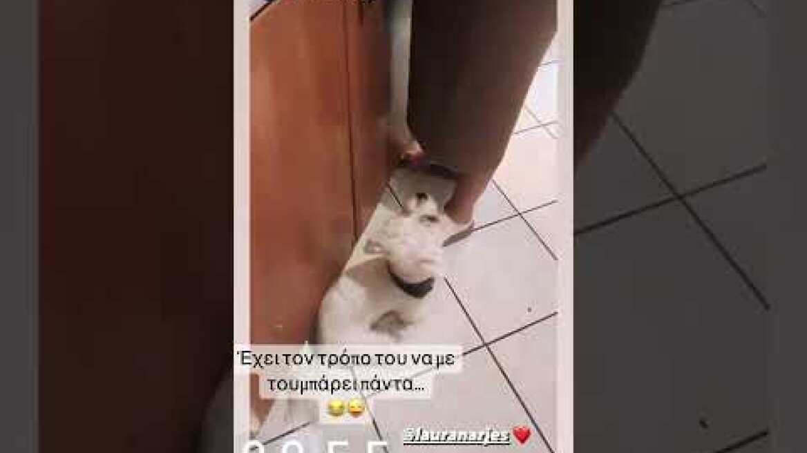 Λάουρα Νάργες - Χρήστος Σαντικάι φτιάχνουν πίτσα μέσα στα μεσάνυχτα