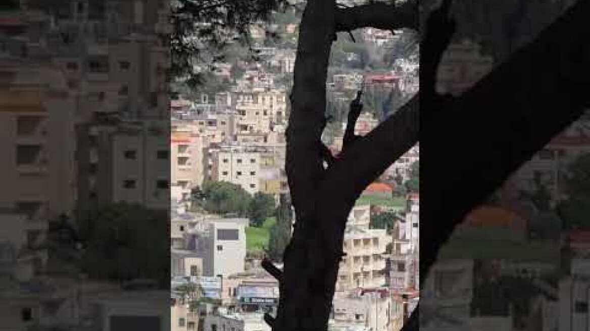 Η τραγική ιστορία του 15χρονου Ζουντ και του 19χρονου Αλί από τον Λίβανο (2)