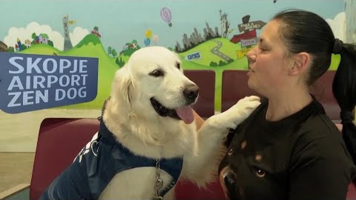 Dino the zen dog helps calm stressed passengers at North Macedonia airport