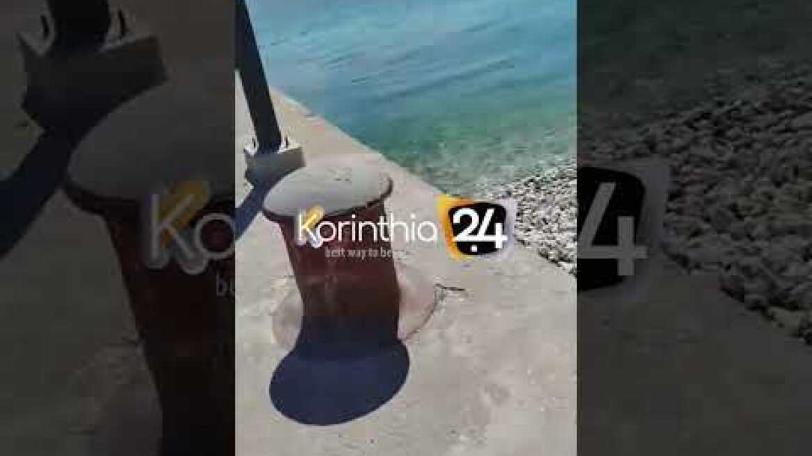 Καρχαρίας κόβει βόλτες στα Λουτρα της Ωραίας Ελενης