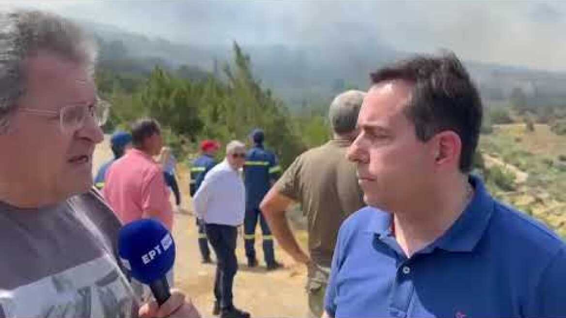 Μηταράκης: Δασοκομάντος και εναέρια μέσα κάνουν τη διαφορά στον περιορισμό της πυρκαγιάς