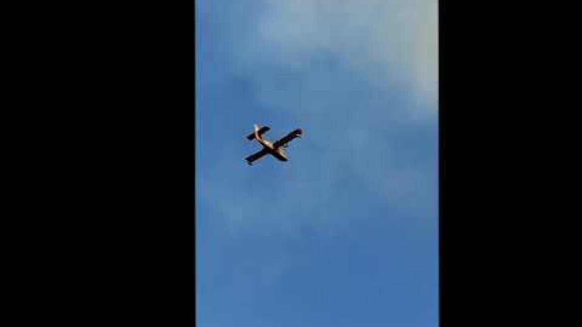 Φωτιά στην Λακωνία