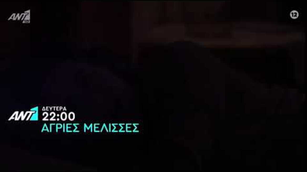 Άγριες Μέλισσες Trailer 19/4/21